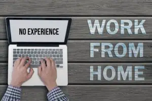 work from home jobs no experience