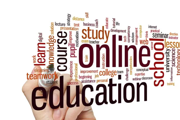 high income skills to learn online
